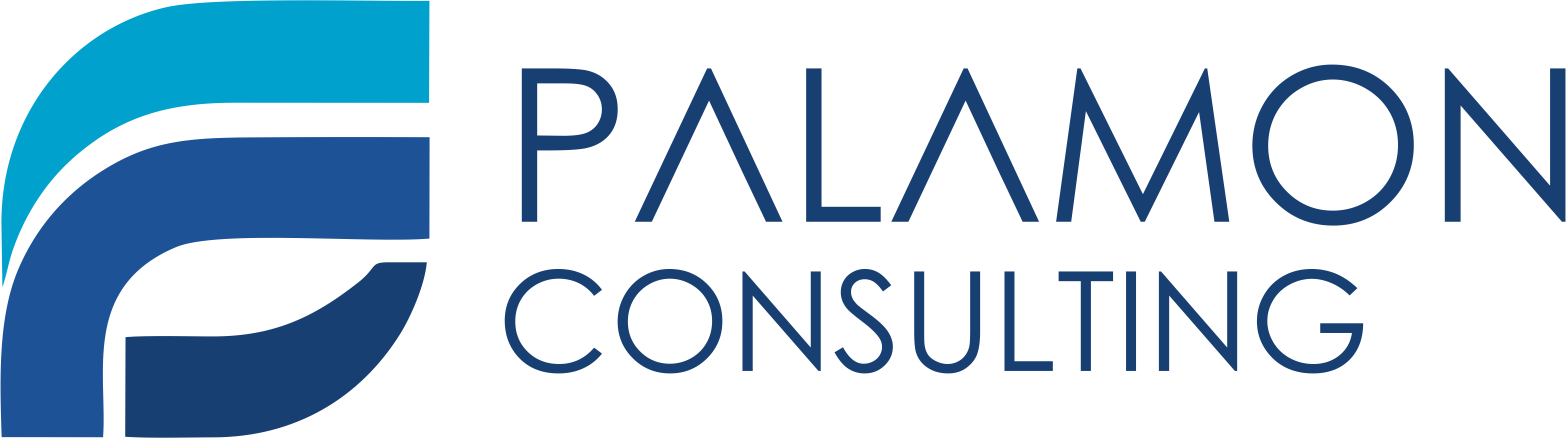 Palamon Consulting